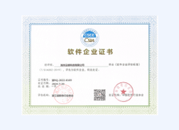 软件企业